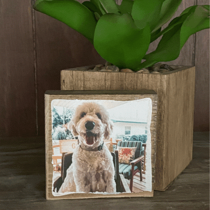 4X4 COLOR PHOTO BLOCK